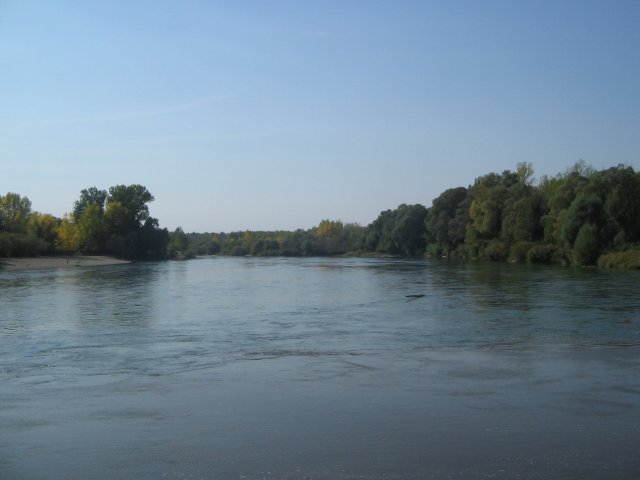 finnek 2011 001